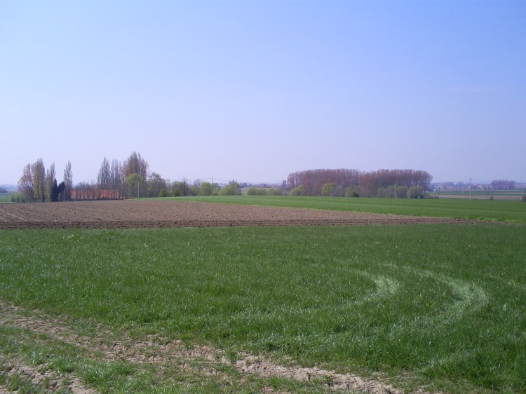 SAMSUNG DIGIMAX A503