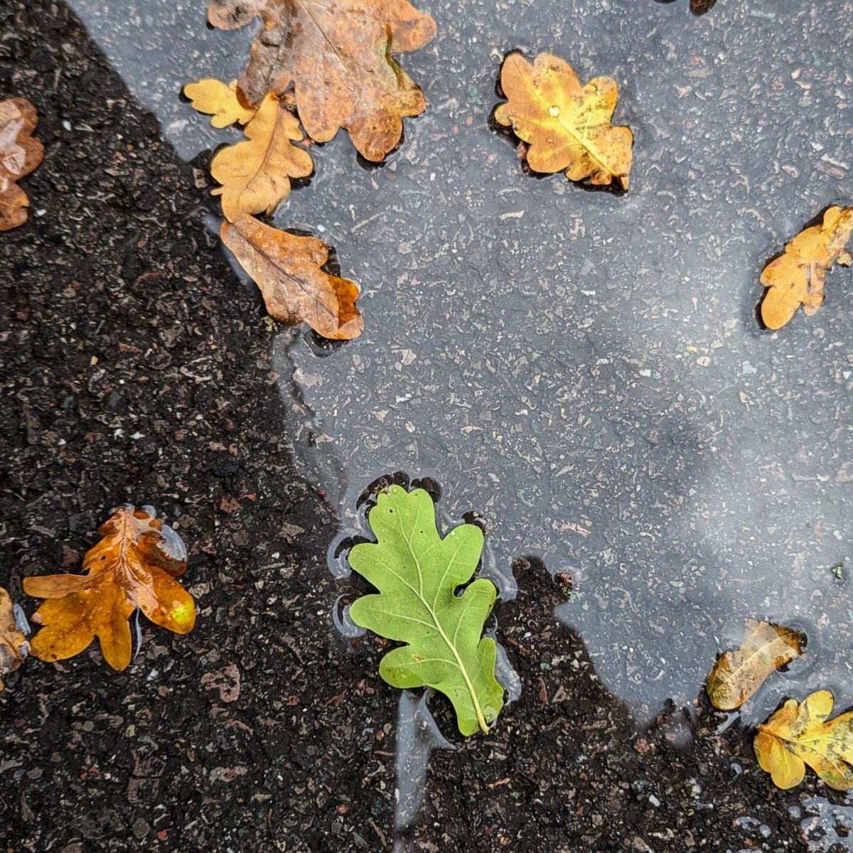 My creative hug for October (and a peek at my big&nbsp;project)